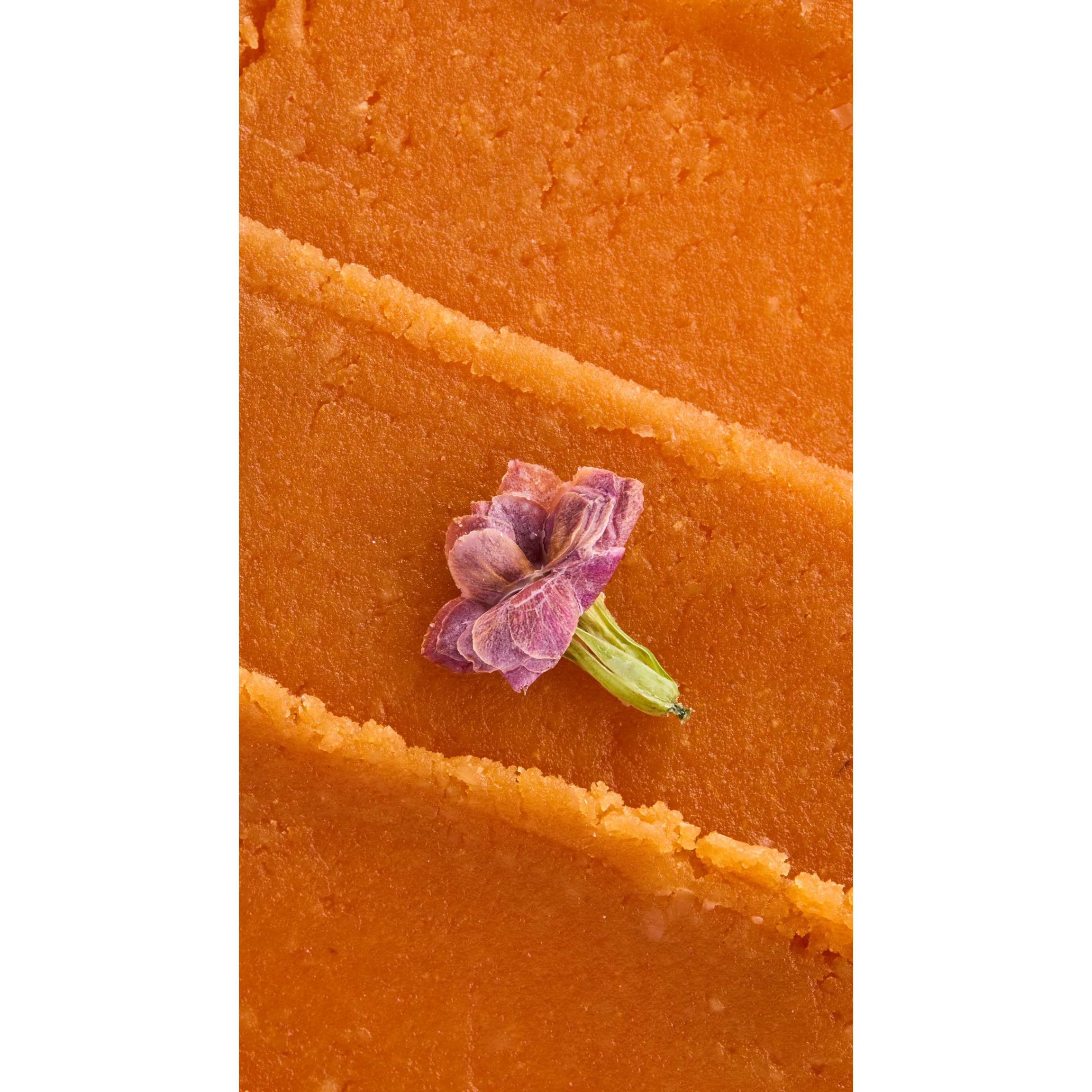 Maple Sugar - Image 5