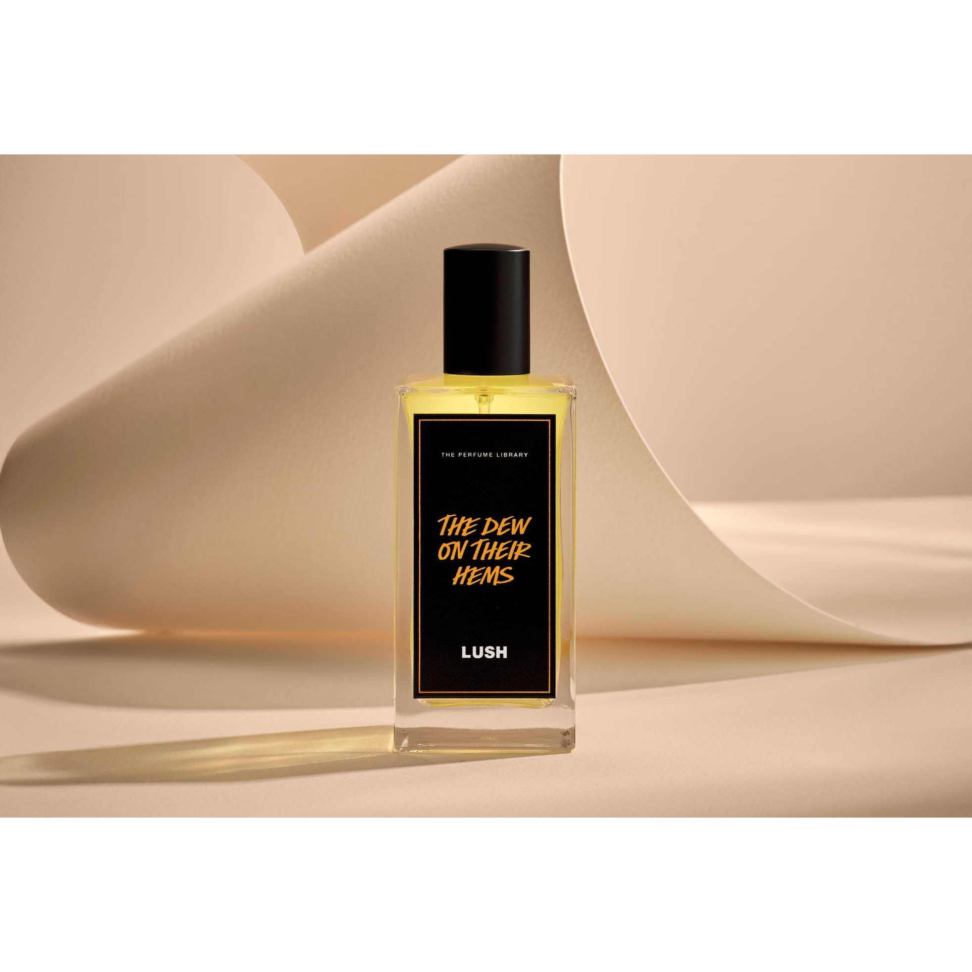 The Dew on Their Hems - Image 2